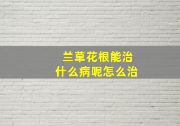 兰草花根能治什么病呢怎么治