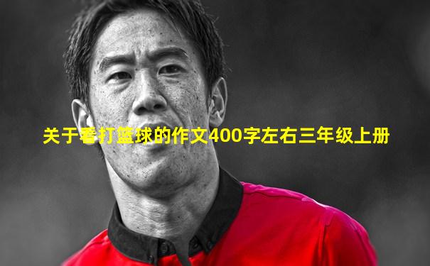 关于看打篮球的作文400字左右三年级上册