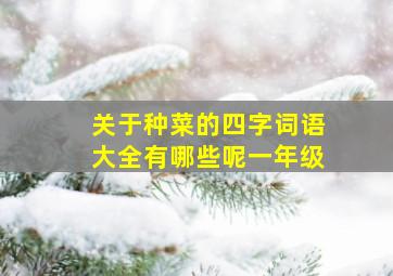 关于种菜的四字词语大全有哪些呢一年级