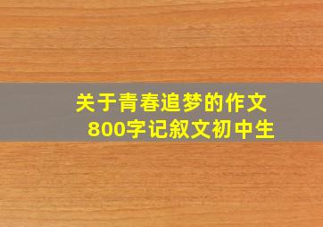 关于青春追梦的作文800字记叙文初中生