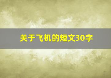 关于飞机的短文30字