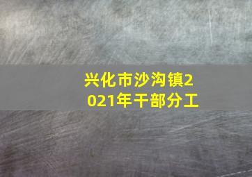 兴化市沙沟镇2021年干部分工