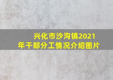 兴化市沙沟镇2021年干部分工情况介绍图片