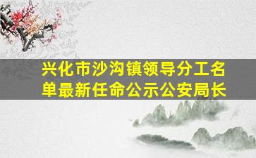 兴化市沙沟镇领导分工名单最新任命公示公安局长