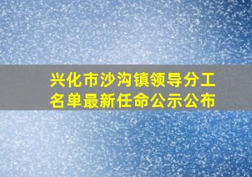 兴化市沙沟镇领导分工名单最新任命公示公布