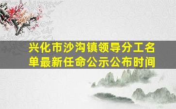 兴化市沙沟镇领导分工名单最新任命公示公布时间