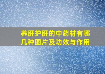 养肝护肝的中药材有哪几种图片及功效与作用