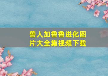 兽人加鲁鲁进化图片大全集视频下载