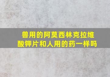 兽用的阿莫西林克拉维酸钾片和人用的药一样吗