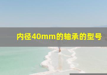 内径40mm的轴承的型号