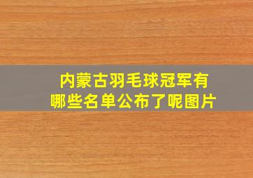 内蒙古羽毛球冠军有哪些名单公布了呢图片