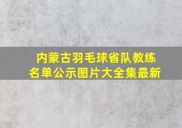 内蒙古羽毛球省队教练名单公示图片大全集最新