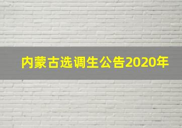 内蒙古选调生公告2020年