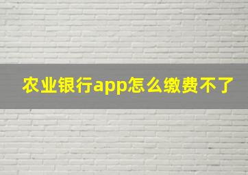 农业银行app怎么缴费不了