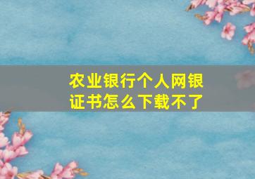 农业银行个人网银证书怎么下载不了