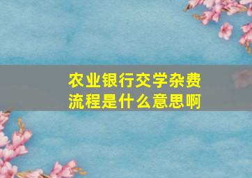 农业银行交学杂费流程是什么意思啊