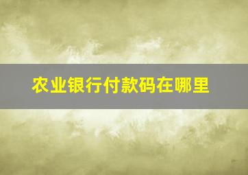 农业银行付款码在哪里