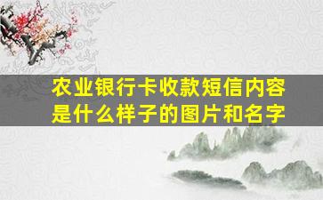 农业银行卡收款短信内容是什么样子的图片和名字