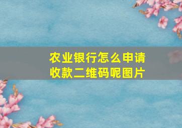 农业银行怎么申请收款二维码呢图片