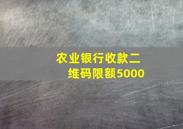 农业银行收款二维码限额5000