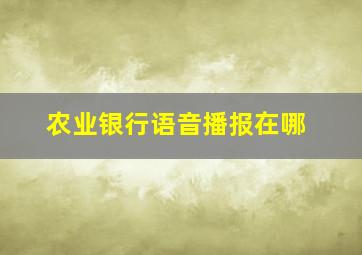 农业银行语音播报在哪