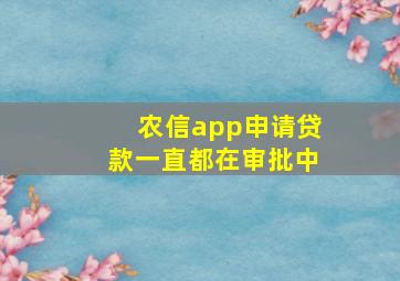 农信app申请贷款一直都在审批中