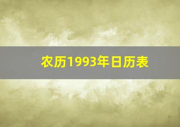 农历1993年日历表