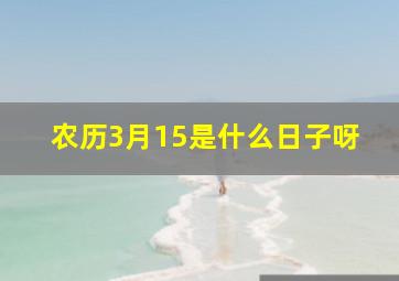 农历3月15是什么日子呀