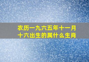 农历一九六五年十一月十六出生的属什么生肖