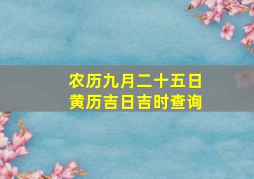 农历九月二十五日黄历吉日吉时查询