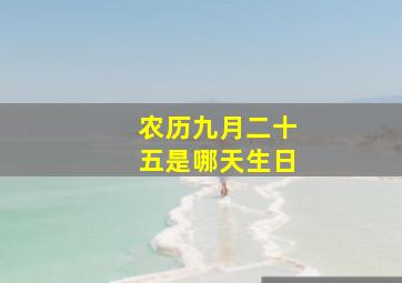 农历九月二十五是哪天生日