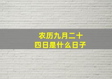 农历九月二十四日是什么日子