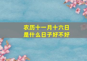 农历十一月十六日是什么日子好不好