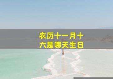 农历十一月十六是哪天生日