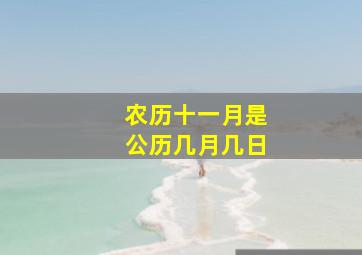 农历十一月是公历几月几日