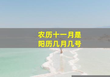 农历十一月是阳历几月几号