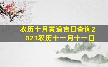 农历十月黄道吉日查询2023农历十一月十一日