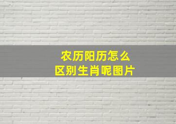 农历阳历怎么区别生肖呢图片