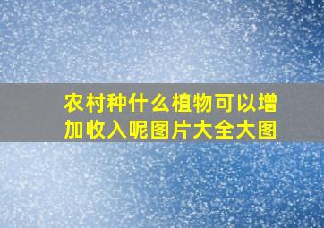 农村种什么植物可以增加收入呢图片大全大图