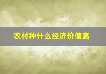 农村种什么经济价值高