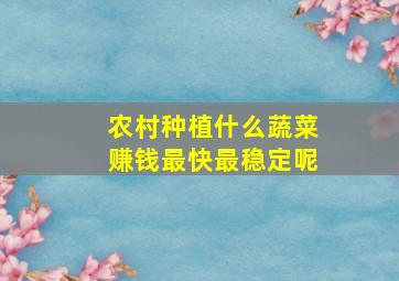 农村种植什么蔬菜赚钱最快最稳定呢