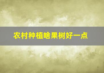 农村种植啥果树好一点