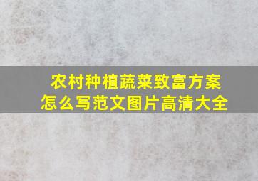 农村种植蔬菜致富方案怎么写范文图片高清大全