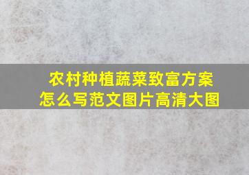 农村种植蔬菜致富方案怎么写范文图片高清大图