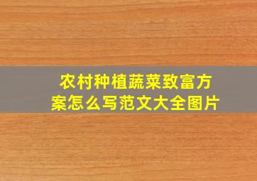 农村种植蔬菜致富方案怎么写范文大全图片