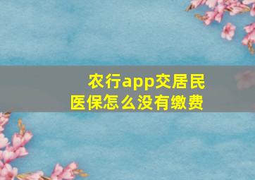 农行app交居民医保怎么没有缴费