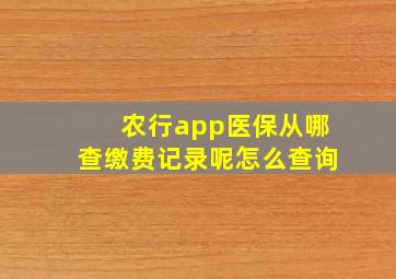 农行app医保从哪查缴费记录呢怎么查询