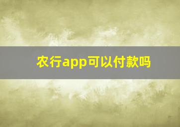 农行app可以付款吗