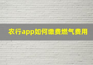 农行app如何缴费燃气费用