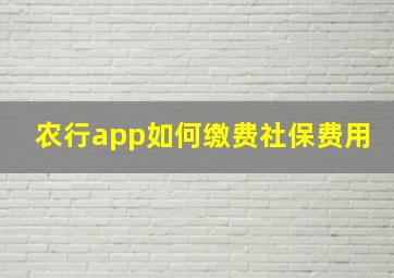 农行app如何缴费社保费用